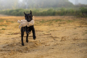 231003_Angelika_Halla_Druck-46