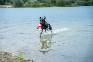 240804_Angelika_Halla_Druck-16