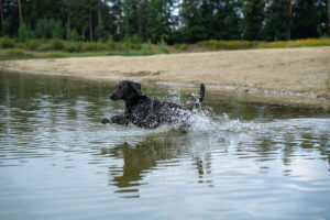 240804_Angelika_Halla_Druck-52