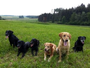 Besuch-aus-Berlin---Carmel-Aeringa-Ilana-Bernie-Morris-Despina