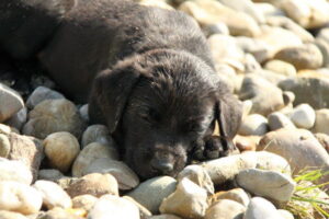 db_30-Devnet-7_-Woche-Badetag-2031