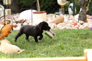 db_34-Devnet-7_-Woche-0691