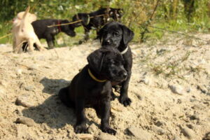 db_7-Devnet-7_-Woche-Badetag-1161