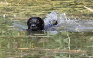 db_Aeringa-20-08-12-65