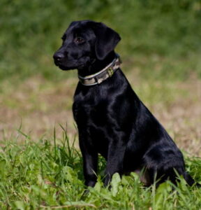 db_Aeringa_2-19-09-105