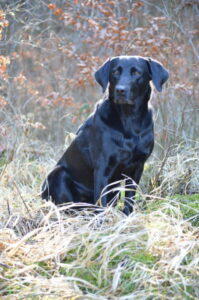 db_Ilana-im-Marz-20161