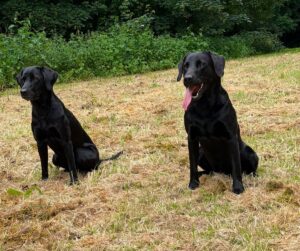 Gryma (links) und Akoni