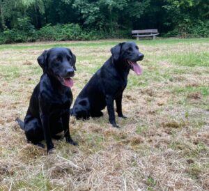 Gryma (links) und Akoni